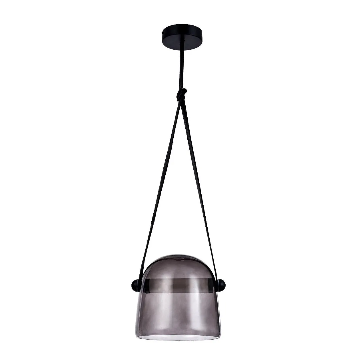 ANKUR LISA NORDIC GLASS VASE LED PENDANT LIGHT