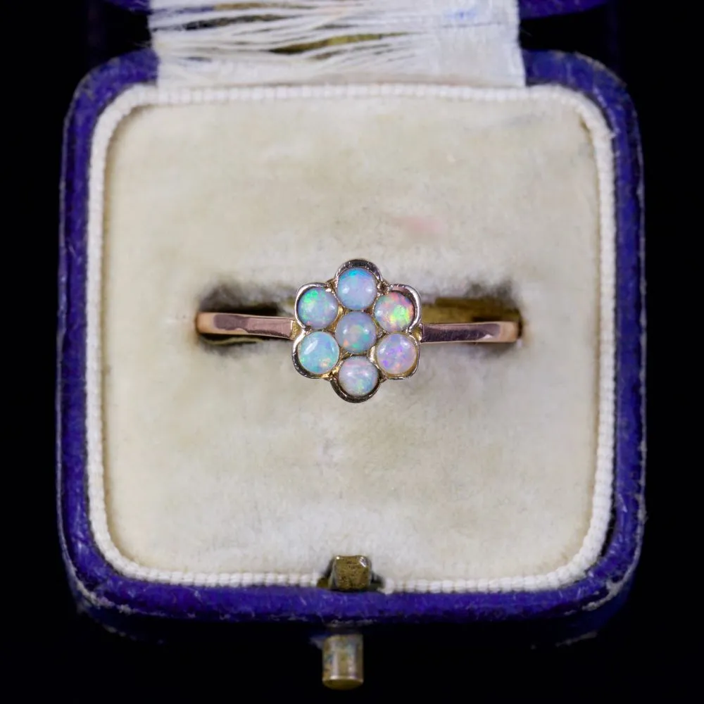 Antique Victorian Opal Flower Ring 9Ct Gold Circa 1900