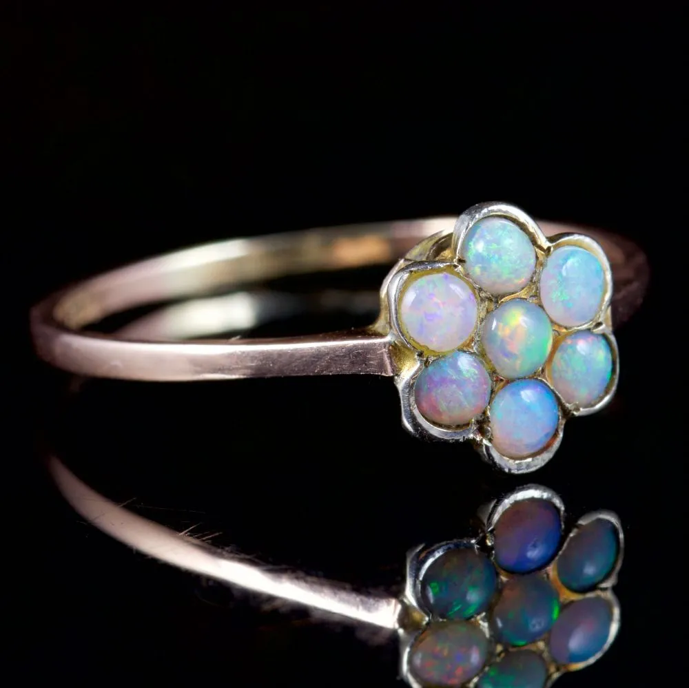 Antique Victorian Opal Flower Ring 9Ct Gold Circa 1900