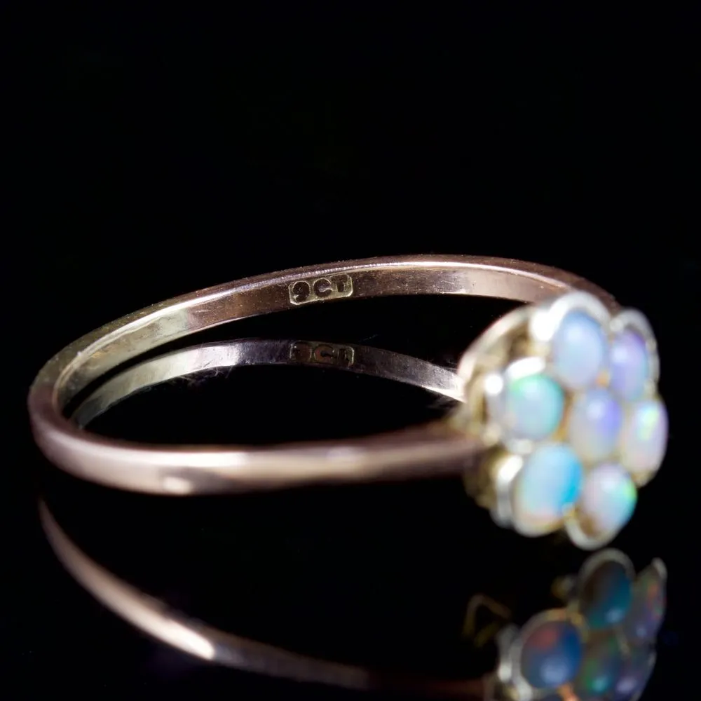 Antique Victorian Opal Flower Ring 9Ct Gold Circa 1900